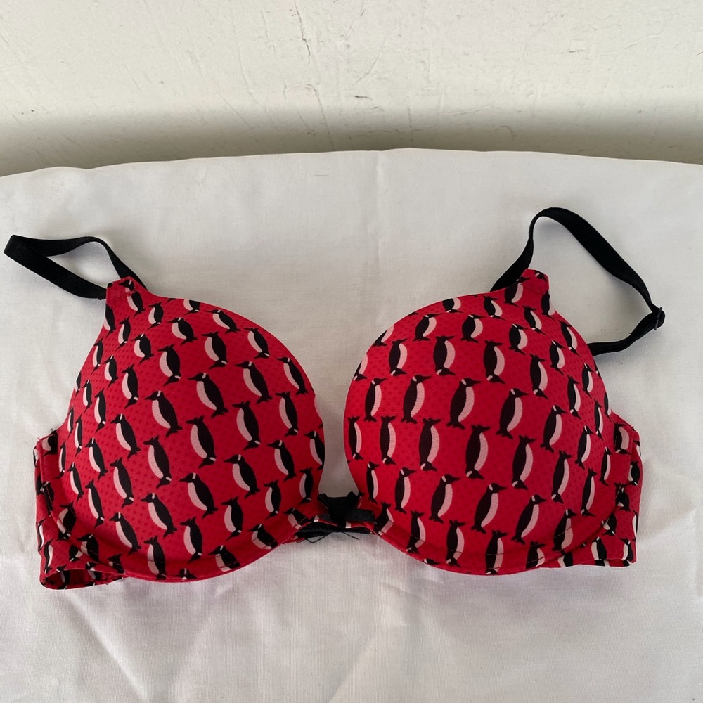 VICTORIA’s SECRET Penguin Push Up Bra - 32C